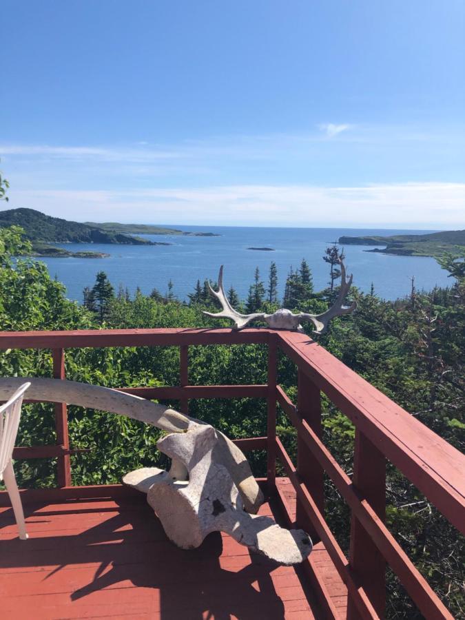 Valhalla bed&breakfast L'Anse aux Meadows Exteriör bild